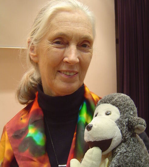 Jane Goodall